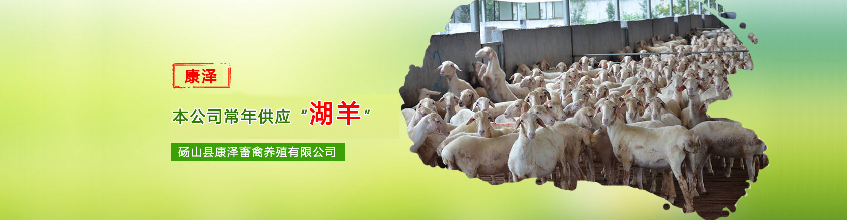首頁(yè)banner1